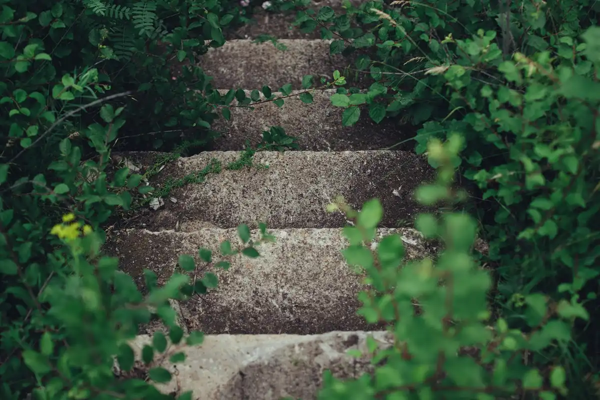 6 interesting ideas for designing stairs in garden