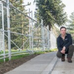 Arboriculturist Will Hinchliffe at Royal Botanic Gardens Edinburgh root bridge