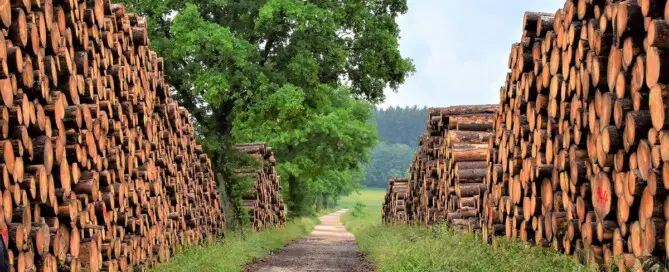 UK sustainable timber industry construction